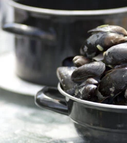 Cosy & Trendy Mosselpan - Zwart - ø 12 Cm / 900 Ml -Thuiskeuken 111 PUNT 012