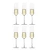 Zwiesel Glas Champagneglazen Pure - 215 Ml - 6 Stuks 1 Zwiesel Glas Champagneglazen Pure - 215 Ml - 6 Stuks -Thuiskeuken 112415 Pure Sekt 7 mitInhalt 000013433 59385 6 stuks