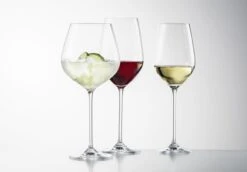 Schott Zwiesel Wijnglazen Fortissimo - Set 18 Delig - Witte En Rode Wijnglazen & Gin Tonic Glazen -Thuiskeuken 4001836085601 schott zwiesel fortissimo 1