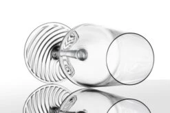 Zwiesel Glas Champagneglazen Echo - 395 Ml - 4 Stuks 13 Zwiesel Glas Champagneglazen Echo - 395 Ml - 4 Stuks -Thuiskeuken 4001836117838 2