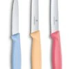 Victorinox Schilmessenset Pastel - 3-Delig -Thuiskeuken 7613329141885 1