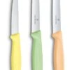 Victorinox Schilmessenset Trend - 3-Delig 2 Victorinox Schilmessenset Trend - 3-Delig -Thuiskeuken 7613329141892