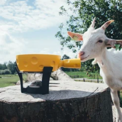 Boska Fondueset Cheesy - 6 Personen - Geel/zwart - 1.3 Liter 10 Boska Fondueset Cheesy - 6 Personen - Geel/zwart - 1.3 Liter -Thuiskeuken 853512 BOSKAFondueSetSuperCheesy 2 2400x