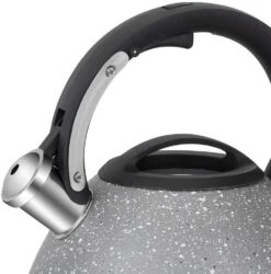 Resto Kitchenware Fluitketel Lyra - Zilver - 2.7 Liter -Thuiskeuken 90605.4260403577325.ver06