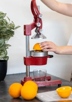 Sareva Citruspers - Gietijzer - Hevelmodel - Rood -Thuiskeuken Citruspers 5