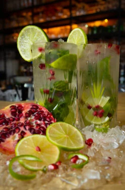 Cookinglife Longdrinkglazen Moray - 350 Ml - 4 Stuks -Thuiskeuken Cocktail 2