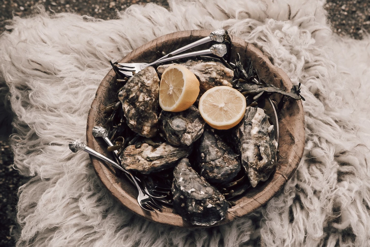 Anovi Oestervorkjes - 4 Stuks 4 Anovi Oestervorkjes - 4 Stuks - Afbeelding 2