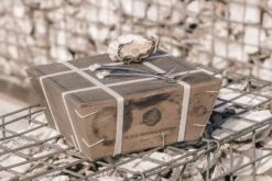 Anovi Oestervorkjes - 4 Stuks 8 Anovi Oestervorkjes - 4 Stuks -Thuiskeuken Oysterforks