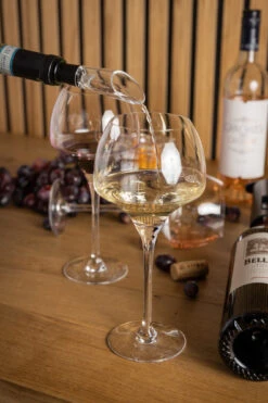 Sareva Wijnopener Set (met Wijnstopper. Foliesnijder & Schenktuit) 12 Sareva Wijnopener Set (met Wijnstopper. Foliesnijder & Schenktuit) -Thuiskeuken Wijnopener 12