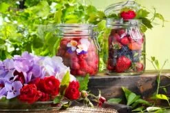 Bormioli Rocco Weckpot Fido 11 X 11 Cm / 1.5 Liter 9 Bormioli Rocco Weckpot Fido 11 X 11 Cm / 1.5 Liter -Thuiskeuken e000316 3