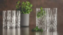 Cookinglife Glazenset (cocktailglazen & Longdrinkglazen) Moy - 12 Delige Set 9 Cookinglife Glazenset (cocktailglazen & Longdrinkglazen) Moy - 12 Delige Set -Thuiskeuken moy cookinglife 2 1