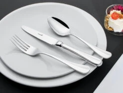 Sola Bestekset Hollands Glad - 50 Delig / 6 Personen -Thuiskeuken sola hollands glad